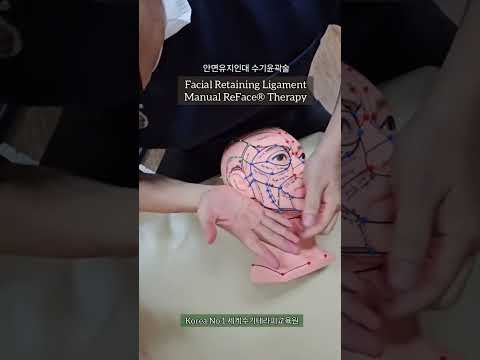안면유지인대 수기윤곽술 핵심원리 실전교육..